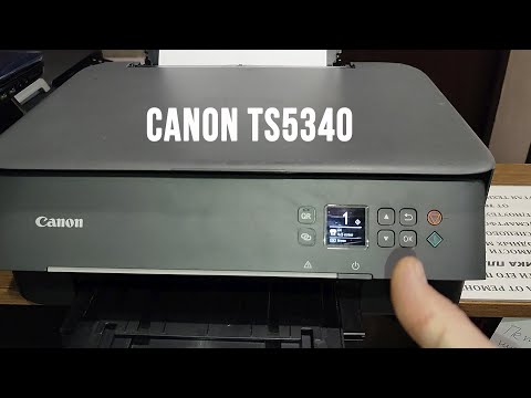 Видео: Canon TS5340 самостоятельное обслуживание и ремонт принтер не печатает или печатает с полосами