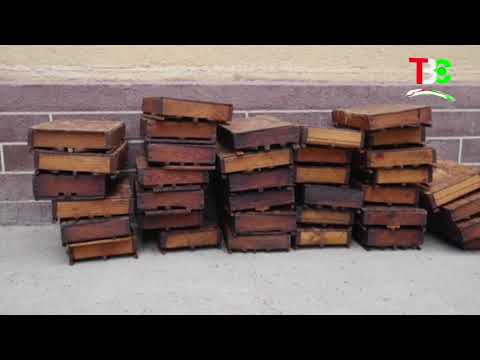 Видео: БАРНОМАИ ДАР ДЕҲА / ДЕҲАИ РУГУНД