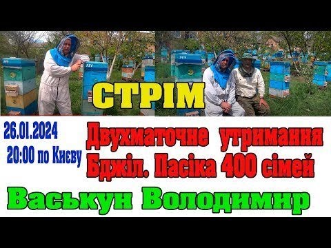 Видео: Двухматочне утримання бджіл. Гість Васькун Володимир. Стрім