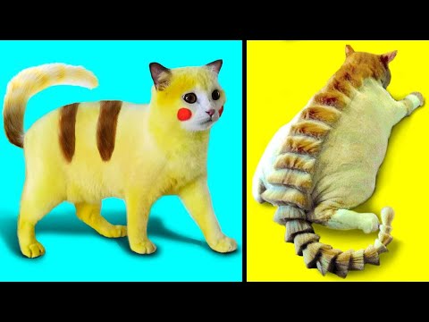 Видео: Странные Кошки, Которые Действительно Существуют