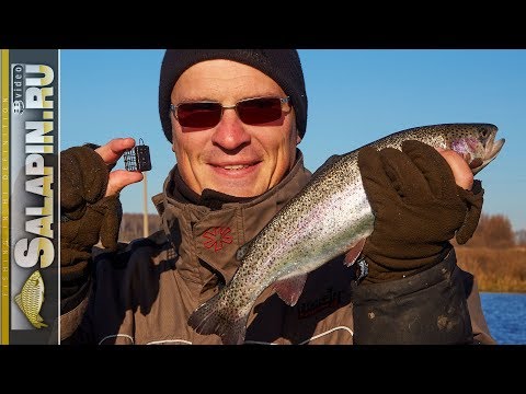 Видео: Ловля форели на фидер на платнике (это тоже просто :)) [salapinru]