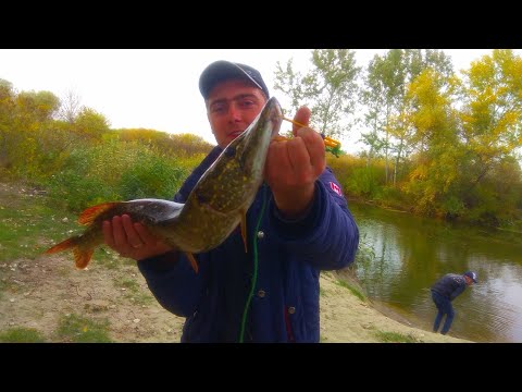 Видео: ЩУКА НА СПИННИНГ С ЛОДКИ. р. Орель