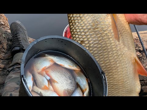 Видео: БЕШЕНЫЙ КЛЕВ НА ДИКОЙ РЕЧКЕ ПЫШМА!УДАЧНАЯ РЫБАЛКА!КЛЕВ  КАК ИЗ ПУЛЕМЕТА!