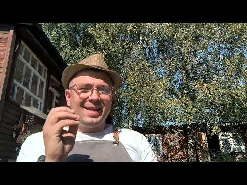 Видео: Биология. Гелицекультура. Повадки улитки. Анабиоз. Эстивация. Улиточная ферма в Подмосковье.