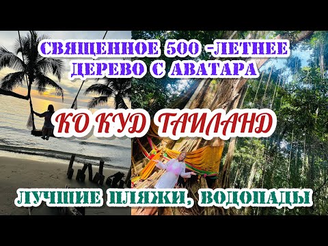 Видео: ПОСЛЕДНИЙ ДЕНЬ НА ОСТРОВЕ КО КУД / ВОДОПАДЫ / СВЯЩЕННОЕ ДЕРЕВО / ЕДЕМ В ПАТТАЙЮ / ДЕЛАЕМ МАССАЖ
