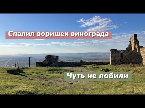 Видео: СПАЛИЛ ВОРОВ НА ВИНОГРАДНИКЕ/ЧУТЬ НЕ ПОБИЛИ