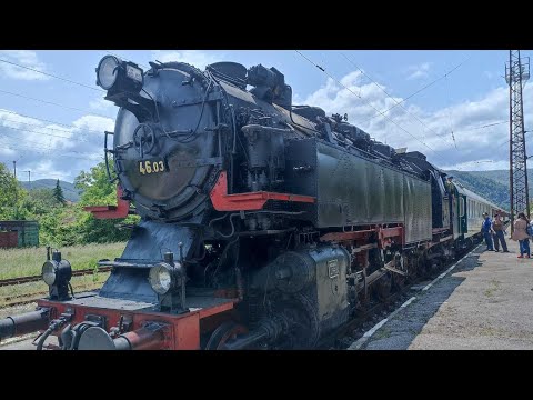 Видео: Най-сетне насадихме доматите