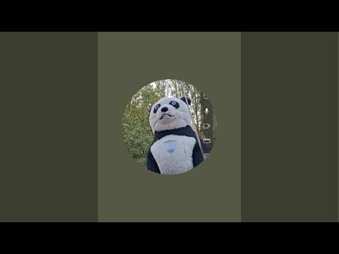 Видео: islomshox7 в прямом эфире!