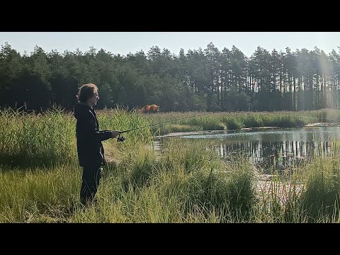 Видео: ВЫЖИВАНИЕ В ЛЕСУ 24 ЧАСА.ЛОВЛЯ РЫБЫ