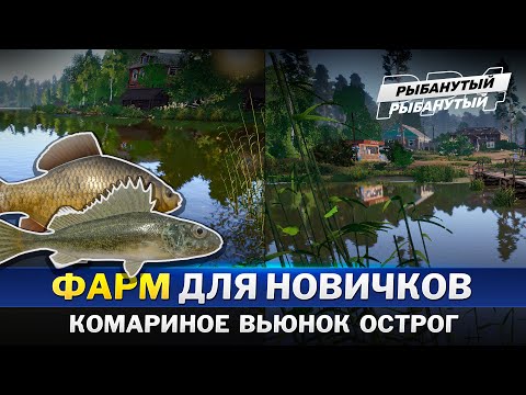Видео: ФАРМ СЕРЕБРА на начальных локациях ● Стрим ● Русская Рыбалка 4