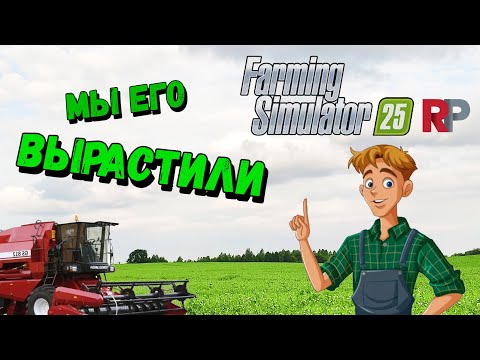 Видео: ОГРОМНЫЙ УРОЖАЙ ГОРОХА ♦︎ ГОТОЫИМ ОЗИМЫЕ КУЛЬТУРЫ ♦︎ Farming Simulator 25 RP ♦︎ Серия 5