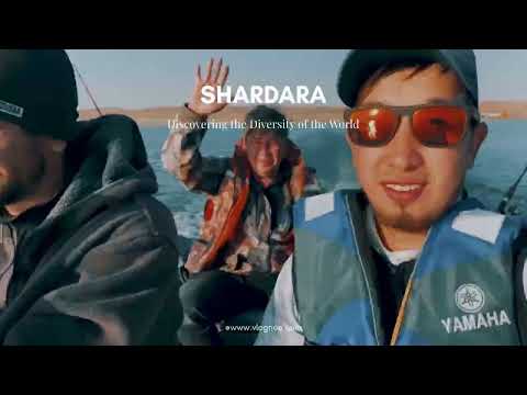 Видео: #шардара #рыбалка #одых #сезонконтентаrutube @rybalkanashardare7159 