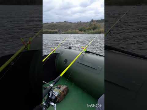 Видео: Завершення сезону#рыбалка #рыбалканафидер #fishing #carpfishing #карп#car  #fish 