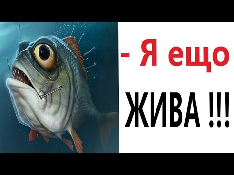 Видео: Приколы! КОГДА СЪЕЛ РЫБУ И ЗАПИЛ ВОДОЙ! Смешные видео от Доми шоу!