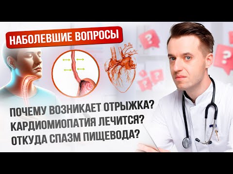 Видео: Желудок, печень и кишечник: о главных проблемах ЖКТ #медицина #здоровье #жкт
