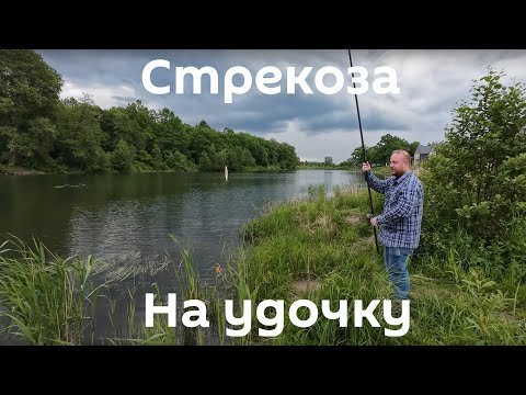 Видео: Ловили рыбу поймали стрекозу. Рыбалка на поплавок и мормышинг на озере. калининградская область.