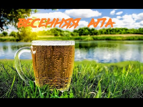 Видео: ВАРИМ ПИВО "ВЕСЕННЯЯ АПА"#32 BREW BEER SPRING APA