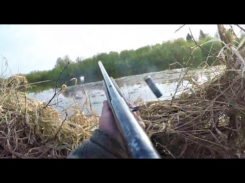 Видео: ВЕСНОВКА 2021 \ ОХОТА НА УТОК \ ОТ ЗАКАТА ДО РАССВЕТА \ ЕСТЬ ДОБЫЧА
