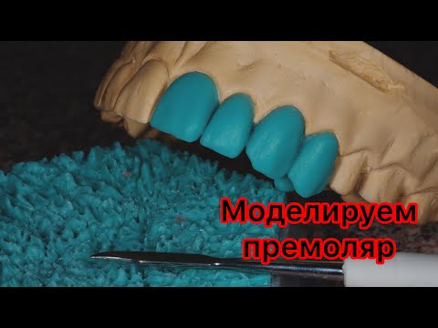 Видео: Моделировка зубов. Как моделировать  1й премоляр верхней челюсти?