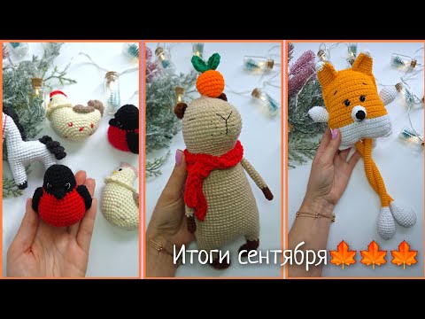 Видео: Плодотворный  сентябрь - итоги месяца. 3-й отчет в марафоне #извяжу_13