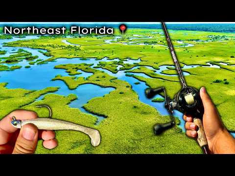 Видео: Рыбалка и кемпинг на солончаках северо-восточной Флориды!