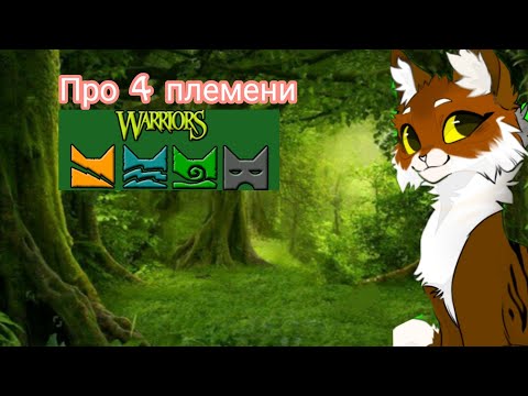 Видео: Коты-воители для начинающих квшиков про 4 племени. Территории, пища и тд.