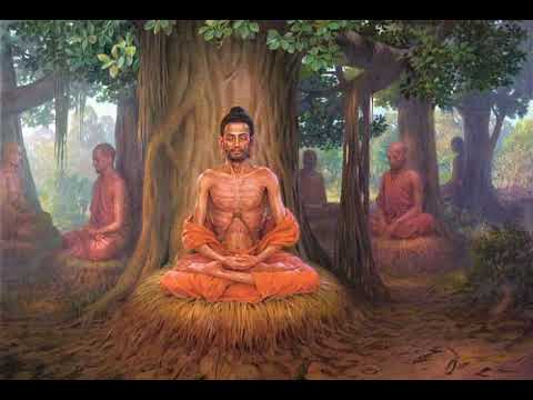 Видео: 26 Качеств Святой Личности ● 02 . Аскетизм ● О.Г. Торсунов