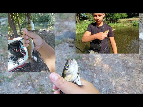 Видео: един прекрасен риболов на кефали на р.Тунджа с diverse.fishing