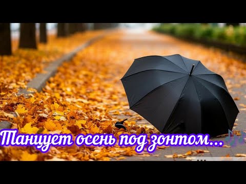 Видео: Танцует осень под зонтом...🎶