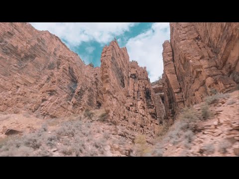 Видео: Семейный переезд в город мечты