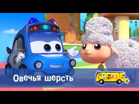 Видео: Школьный автобус🚌 Гордон. Сезон 4 - Серия 17.Овечья шерсть - Мультфильм