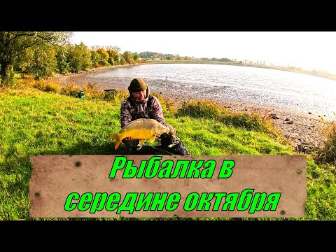 Видео: Рыбалка в середине октября, у нас озеро осушают!