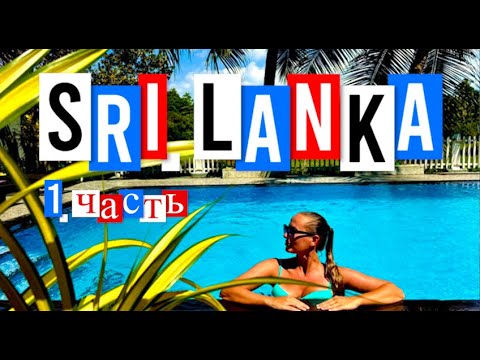 Видео: Шри Ланка 2025 часть 1-я