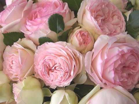 Видео: Ли Джун Ки (Джунечка)