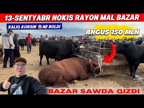 Видео: 13-СЕНТЯБРЬ/НОКИС РАЙОН МАЛ БАЗАРЫ/СКОТНЫЙ РЫНОК/BUQALAR/BIG BULLS IN THE WORLD/BIG COW