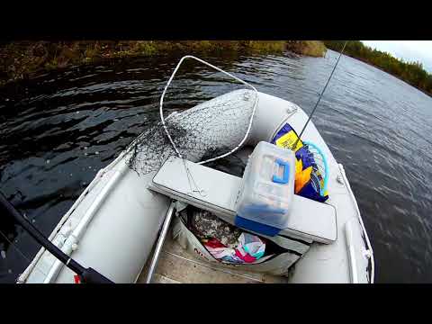 Видео: Троллинг в октябре   щука и крупный окунь