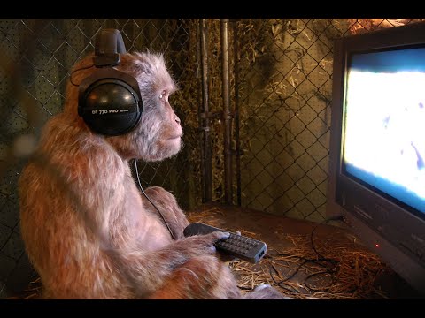 Видео: сегодня верну 3к, faceit prem #stream #cs2 #jent0s1k
