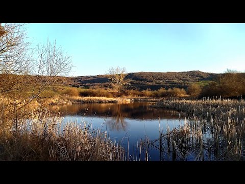 Видео: Коментар след лов край р. Вит България