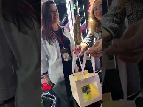 Видео: 🌺🌷Флористическая компания