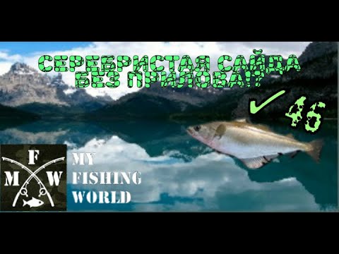 Видео: 46) My Fishing World Серебристая сайда без прилова!?