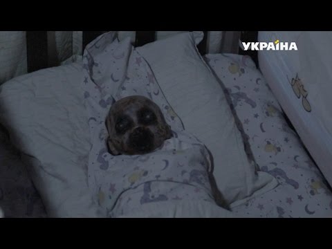 Видео: Химера | Реальная мистика