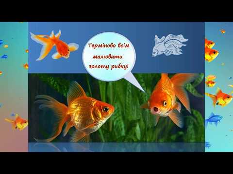 Видео: Малюємо золоту рибку. Заняття для дітей дошкільного та молодшого шкільного віку (5-7 років).
