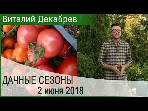 Видео: Дачные сезоны с Виталием Декабревым. 2 июня 2018