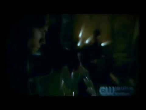 Видео: Волки.