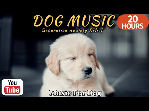 Видео: 20 часов любимой музыки собак🐶💖Музыка для сна собак 🐶🎵 Музыка для снятия беспокойства при разлуке🎵