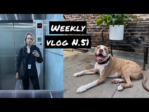 Видео: Weekly Vlog N.51: простуда и события последних 2х недель