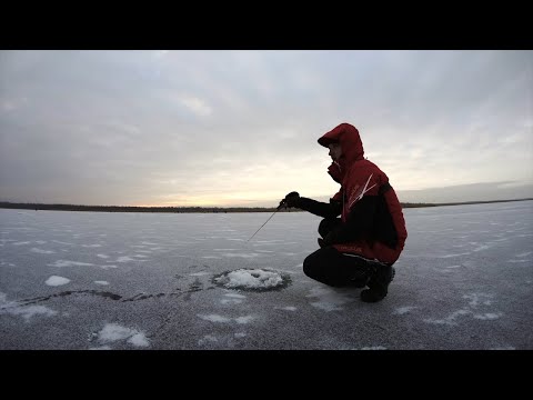 Видео: ДРУГ спас человека, ОПАСНЫЙ первый лед, окунь в тросте на Ладоге, открытие зимнего сезона 2021