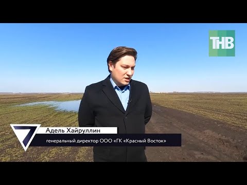 Видео: Независимый остров: насколько гиганты производства зависят от поставок из-за рубежа? 7 дней @tnvtv