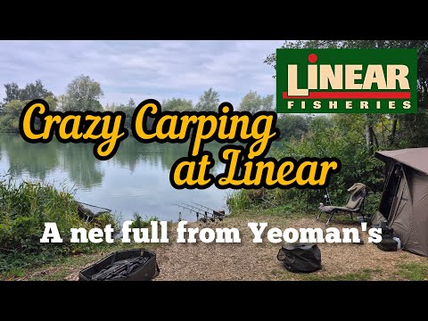 Видео: Перемены к лучшему — насыщенные выходные! — Ловля линейного карпа — озеро Йеоманс