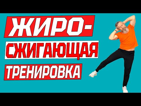 Видео: Жиросжигающая тренировка стоя. Упражнения для похудения в животе